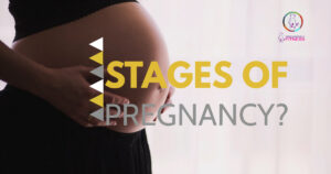 Stages of Pregnancy - pregnancyandfitness.org